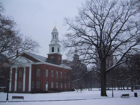 building and tree in snow - building and tree in snow, park benches, branches laden with snow. building and tree in snow - building and tree in snow, park benches, branches laden with snow.
