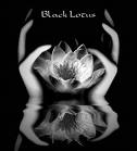 gggg - black lotus with hand