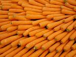 carrots - orange carrots