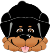 Rottweiler - A picture of a cute Rottweiler wagging its tail