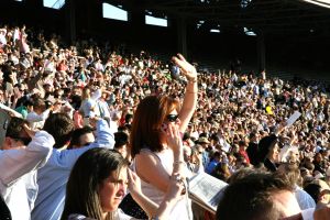 crowd of people - crowd of people at a stadium