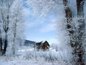 Barn - Old Barn in snowy field