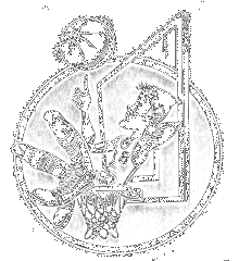 basketball - i thought this was a neat picture