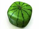 watermelon (square) - you can see it,it look delicious