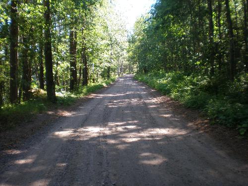 Long road - Long road to nowhere