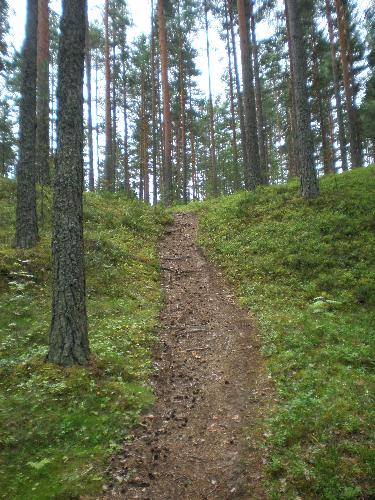 Nature of Finland - The very best of the nature of Finland