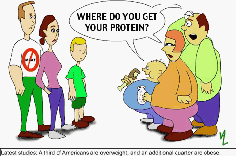 Veggie Protein - Protein in vegetables are as good as in animals