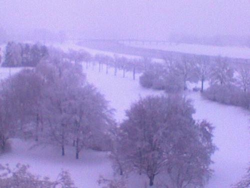 snow in front - snow in front of my home