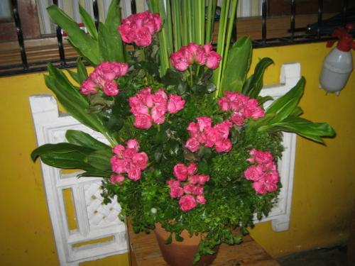 life is like a flower - life is like a flower..
