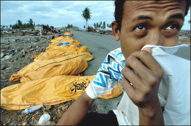 Images of Aceh 5 - Volunteer covers his nose next to bodies laid along the road in Kaju, Aceh province