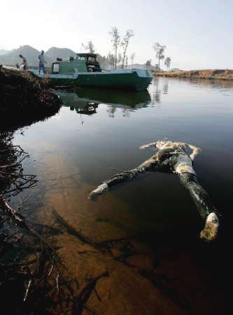 Images of Aceh 6 - Body of tsunami victim floats in river near Lhok Nga