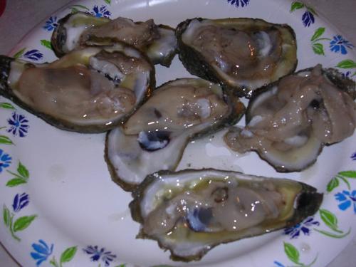 Raw Oysters on the half shell - I just love raw oysters. Here&#039;s a picture of the oysters we had last week.