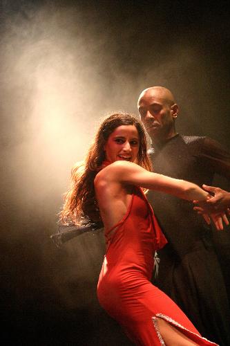 salsa dancing - salsa dancing in the heat of the moment