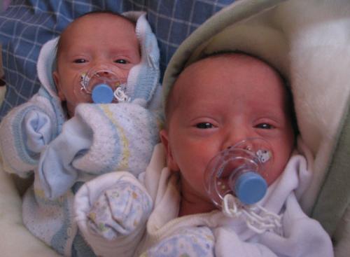 Twins - Twin babies