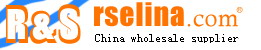 highest quality lv,gucci,chanel,fendi,chloe handba - Our store logo,www.rselina.com