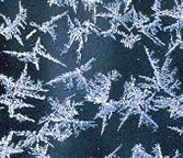 winter - winter cold winter - winter cold