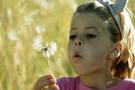 Dandelion Clock - A child blowing a Dandelion Clock. 'What's the time in Faerieland?'