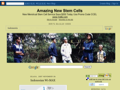 blogger - ghibox on blogspot