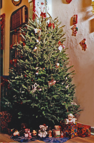 Another photo of the Christmas tree - image of my Christmas tree