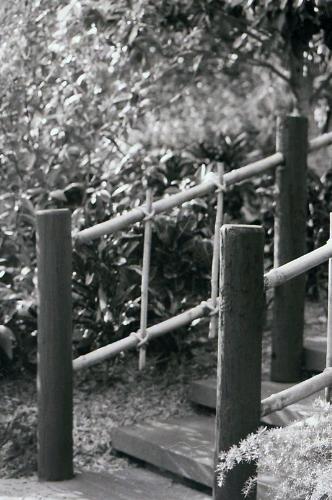 Photo Of Wooden Stepway  - image from Polynesian Village