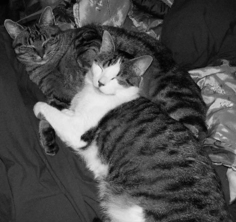 The Brothers again - Alex and Ed