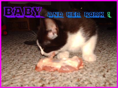 Kitten eating - Kitten eating raw meat ... on my carpet!!