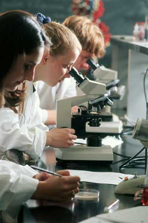 Students - At Salve Regina University, students choose from a range of liberal arts and pre-professional programs. Our academic programs vary in size, but all share a focus on high quality and a commitment to prepare students not only for their first job but for a long and flexible career path.