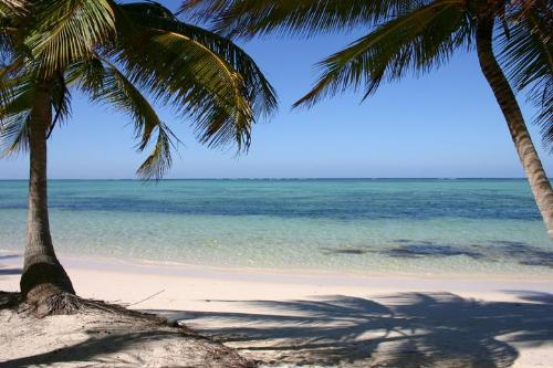 Florida beaches -  This is one of my favorite pictures. I use it on my desktop