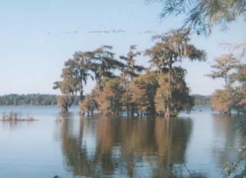 Lake Martin - A scene of Lake Martin in Louisiana