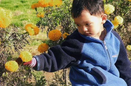 my son - impromptu pic taken by me when he was distracted by the flowers. cold season there.  taken at my parents place at the porch area where they beautiful flowers which were growing at tht time.
