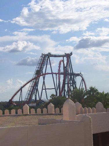 Tampa,Florida - This is a picture of Sheikra the rollercoaster in Busch Gardens,Tampa,Florida