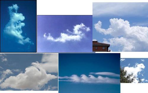 Cloud shapes. - What a wonderful shapes these clouds can make!