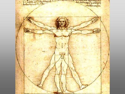 Vitruvian Man - The painting i like the most