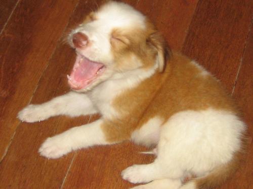 laughing is the best medicine - my baby laughing or yawning