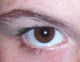 eyes - This is my eye. I like to observe things.