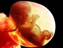 sex of a baby - sex selection before birth