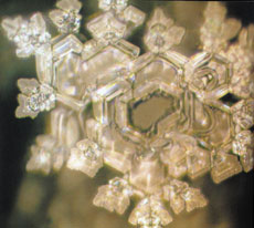water crystal - a crystal of water formed when presented with the words "Thank You"