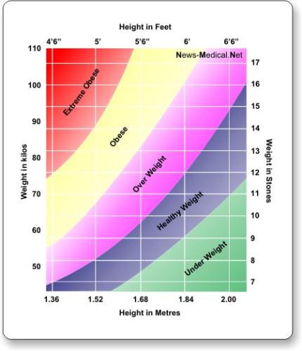 Body Mass Index - The BMI doesn't tell all the truth but shouldn't be disregarded as foolish