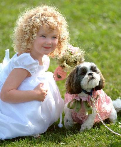 cute girl - a sweet girl sitting with an evergreen smile, the purest of all.