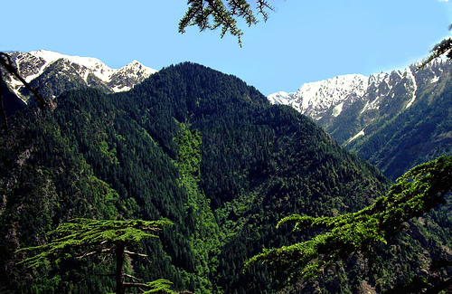 Beauty - Valleys deforestation do not started here.Last remains of Himalayas pritine beauty can only be seen at kohistan The valley runswith Swat valley on west Kaghan and nelum valey in the west.