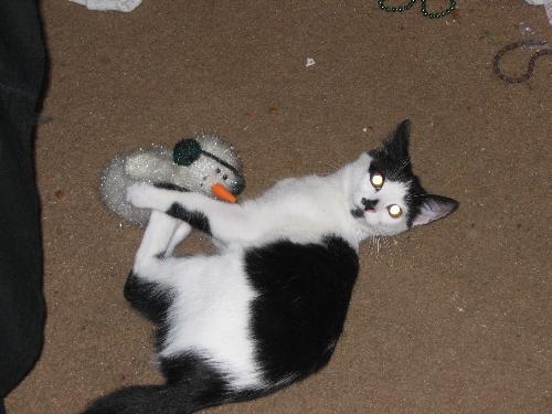 Carlye and her Snowman Pal - This is my little Carlye playing with the stuff snowman a friend gave me.