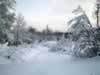 Winter wonderland - This is what Sweden should look like by now.