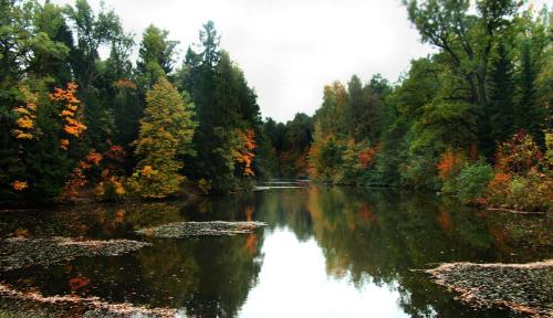 forest lake - not far away Saint Petersburg