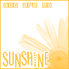 sunshine - What to say when you feel appreciative of someone&#039;s attention for making your day a little brighter.