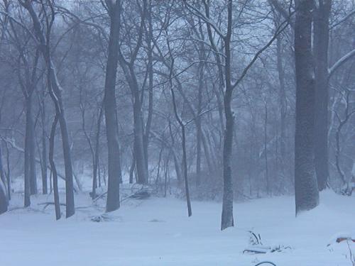 Snowing pretty hard. - Snowing snowing snowing...bring it on, Mother Nature. I want several more feet of the stuff.