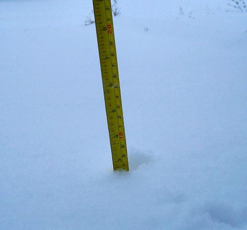 3" of snow fallen - as you can see by the photo 3" of snow has fallen february 1st in a matter of two hours!