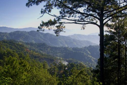 camp john hay, photo credit to nonong - nice, cool place...