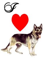 I love German Shepards - I love German Shepards (I heart and a picture of a Shepard)