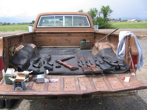 Ready for Pigeon Shooting - Guns laid out in the back of the pickup