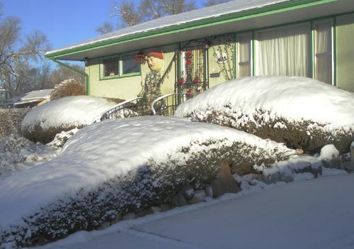 White Christmas - It was actually after Christmas, but this house still had their Christmas decorations up. We had an overnight snow that melted the next afternoon. I got lots of good pictures before it melted, though!